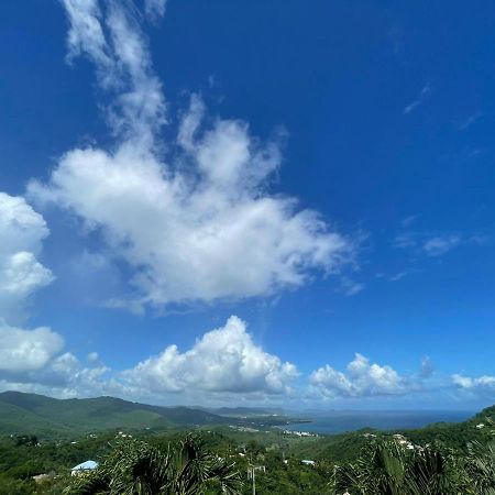 Villa Les Alizes Morne Blanc 외부 사진