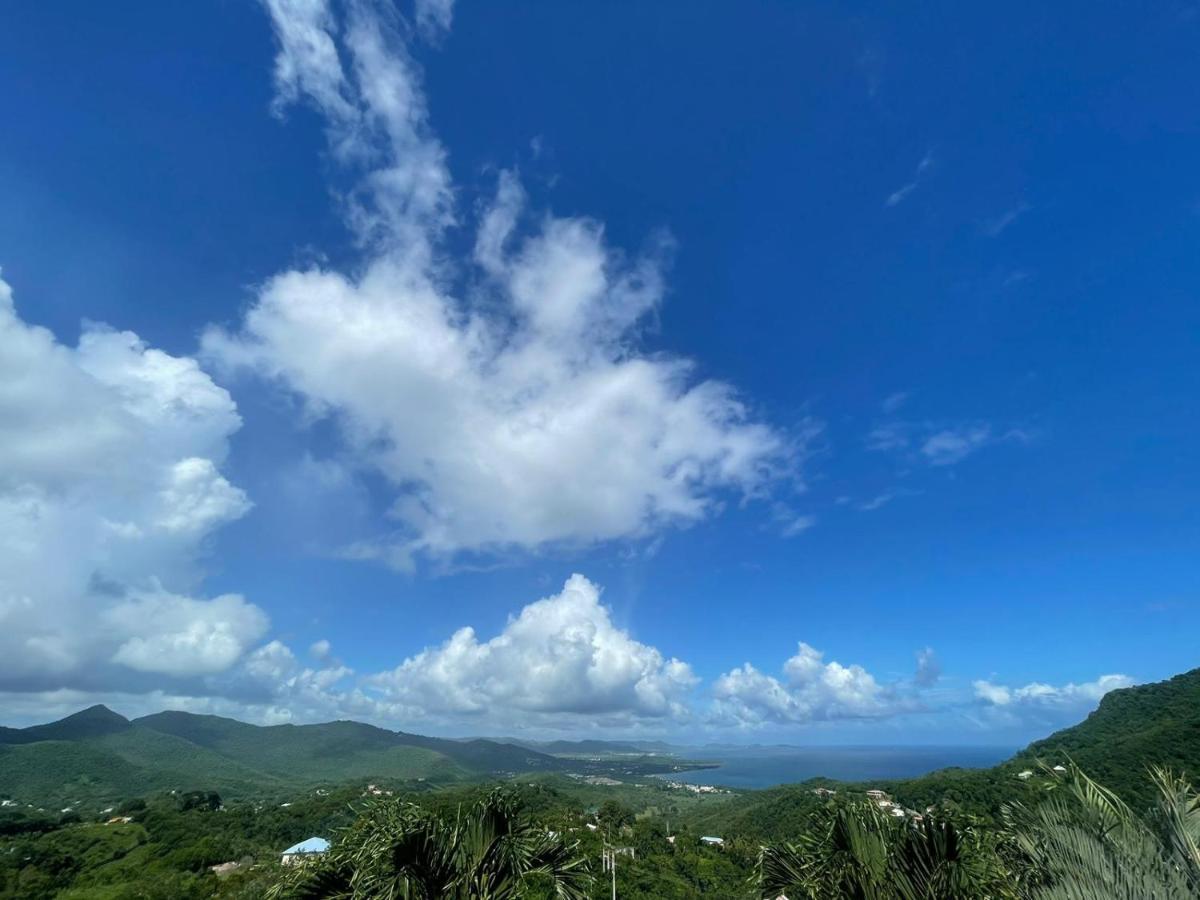 Villa Les Alizes Morne Blanc 외부 사진